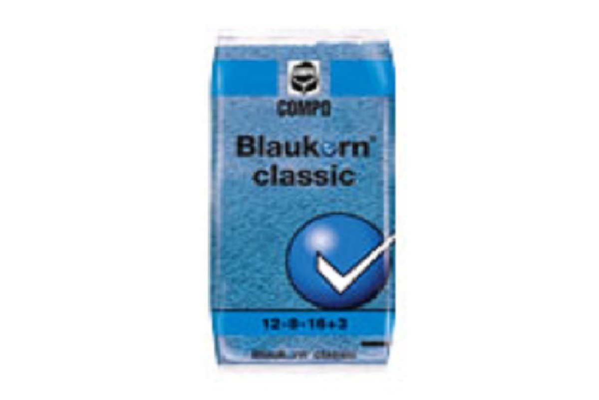 Blauwe korrel