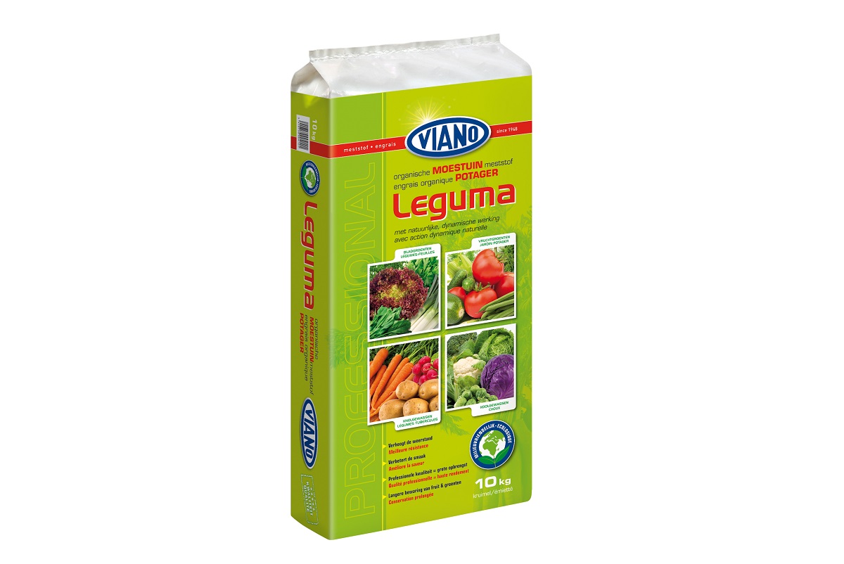 Leguma Viano