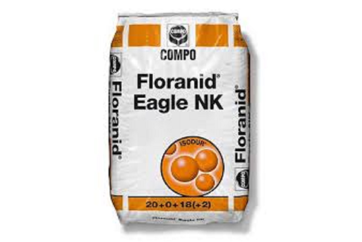 Floranid eagle NK